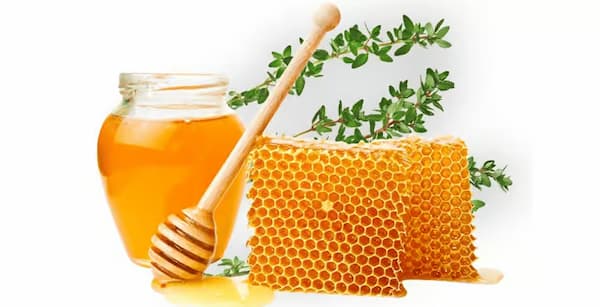 تصویر 1 از قیمت عسل خوب خوانسار + خرید باور نکردنی